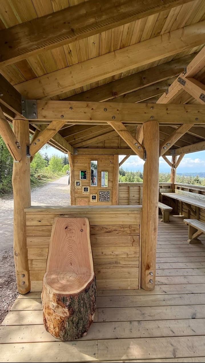 Servery counter and log stool